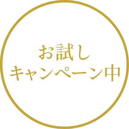 お試しキャンペーン